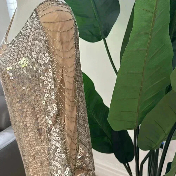 Haute Hippie XS Silver Sequence dress - Picture 6 of 12